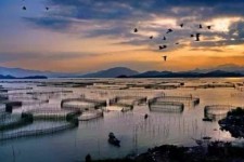 阳春伴游中国网景点丰富(旅游网介绍)