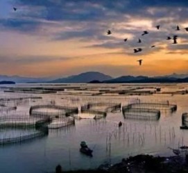 阳春伴游中国网景点丰富(旅游网介绍)