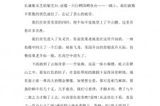 阳春旅游感想(张家界旅游感想)