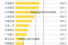 阳春关于伴游小丽中国足球的信息