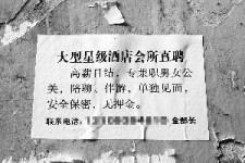 阳春珠海伴游雇用网(珠海游览社雇用信息)