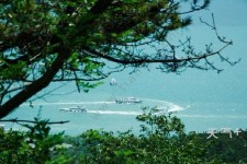 阳春中国伴游网与你分享旅游的点滴(中国伴游网与你分享旅游的点滴是什么)