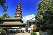阳春广州自由行(广州 自由行)