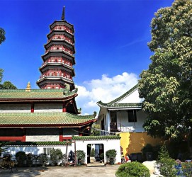 阳春广州自由行(广州 自由行)