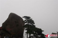 阳春上海伴游私家陪游雇用女模(上海伴游私家陪游雇用女模特)