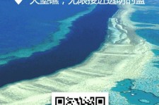 阳春中国250家旅行社结伴游新西兰(新西兰当地旅行社)