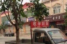 阳春上海伴游 用伴游造句大全(5