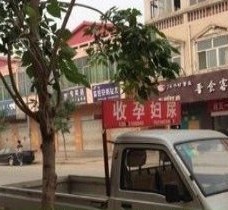 阳春上海伴游 用伴游造句大全(5