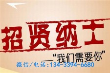 阳春酒店雇用伴游(酒店雇用伴游办事员)