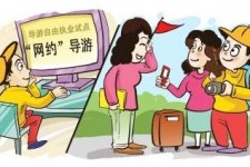 阳春伴游是什么