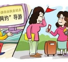 阳春伴游是什么