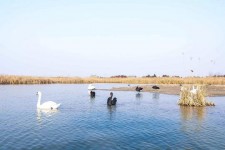阳春南昌附近伴游小妹兼职(1534939978姐的微信德惠市)