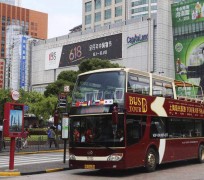 阳春上海私人伴游 上海过年怎么玩？这些“微游”线路了解下→