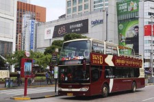 阳春上海私人伴游 上海过年怎么玩？这些“微游”线路了解下→