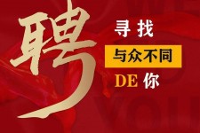 阳春商务伴游招聘 重庆星级酒店诚招司机服务员夜场保安