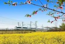 阳春高铁游(高铁游戏下载手机版)