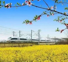 阳春高铁游(高铁游戏下载手机版)