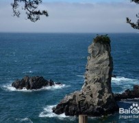 阳春旅游全攻略(上海旅游全攻略)