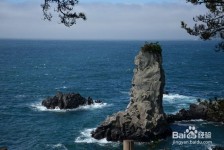 阳春旅游全攻略(上海旅游全攻略)