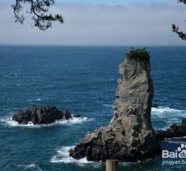 阳春旅游全攻略(上海旅游全攻略)