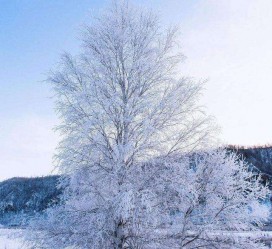 阳春冬季旅游攻略(冬季旅游攻略必去景点)