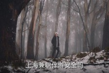 阳春上海私人伴游 上海伴游，上海兼职伴游安全吗