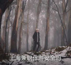 阳春上海私人伴游 上海伴游，上海兼职伴游安全吗