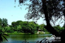阳春西湖旅游攻略(上海到杭州西湖旅游攻略)