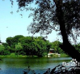 阳春西湖旅游攻略(上海到杭州西湖旅游攻略)