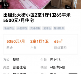阳春私人伴游是什么 “过年租友”陷阱：骗财与色情服务