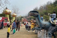 阳春中国伴游带你打卡网红南山竹海(南山竹海网上预约)