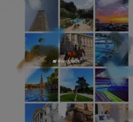 阳春伴游中国网说的地方(旅游伴游中国)