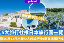 阳春旅游价格(旅游价格机制)