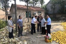 阳春关于宋叔带老伴游中国的信息