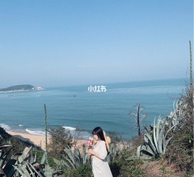 阳春厦门周边游(厦门及周边旅游攻略)