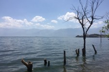 阳春洱海旅游攻略(洱海旅游攻略自由行)