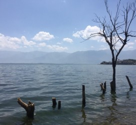 阳春洱海旅游攻略(洱海旅游攻略自由行)