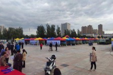 阳春通辽伴游雇用(哈尔滨伴游雇用)