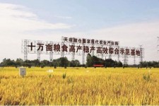 阳春关于成都商务伴游外围雇用的信息