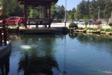 阳春久久伴游**(久久游代理)