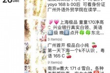 阳春外围伴游雇用圈套(雇用伴游什么样子的是实的)