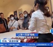 阳春上海私人伴游 看·法｜100元游上海？！“旅社”涉嫌诈骗被一窝端