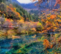 阳春四川旅游攻略(四川旅游攻略十五日游)