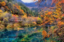 阳春四川旅游攻略(四川旅游攻略十五日游)