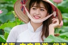 阳春日本关东伴游中国(日本关西旅行)