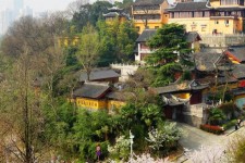 阳春南京周边游(南京周边游景点大全 自驾车旅游)