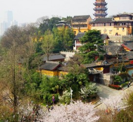 阳春南京周边游(南京周边游景点大全 自驾车旅游)