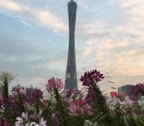 阳春广州旅游攻略(杭州到广州旅游攻略)