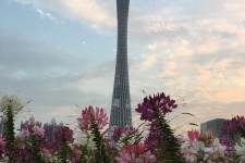 阳春广州旅游攻略(杭州到广州旅游攻略)