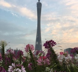 阳春广州旅游攻略(杭州到广州旅游攻略)